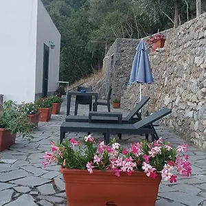 Le Finestre Di Appartement